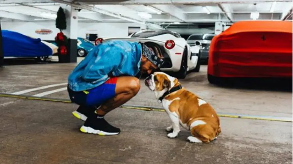 Lewis Hamilton informó sobre la muerte de su perrita Coco