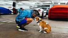 Lewis Hamilton informó sobre la muerte de su perrita Coco