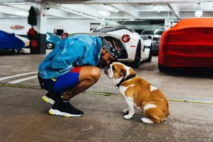 Lewis Hamilton informó sobre la muerte de su perrita Coco
