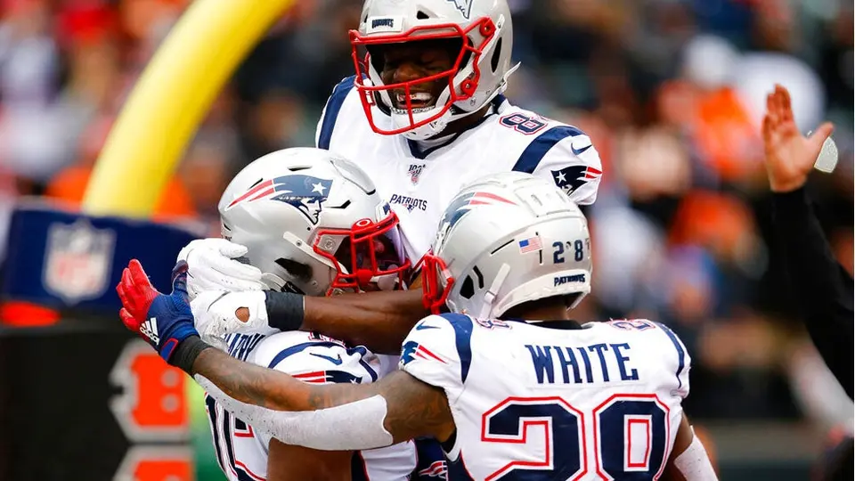 Patriots derrotó a Bengals y amarraron boleto a Playoffs