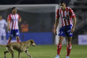 VIDEO: Perro invade cancha del Alfonso Lastras en Atlético de San Luis vs Cruz Azul