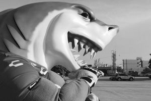 Tibu Jarocho se despidió de su botarga