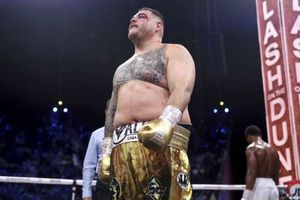 Dillian Whyte: 'Andy Ruiz es un gordo pedazo de mier...'