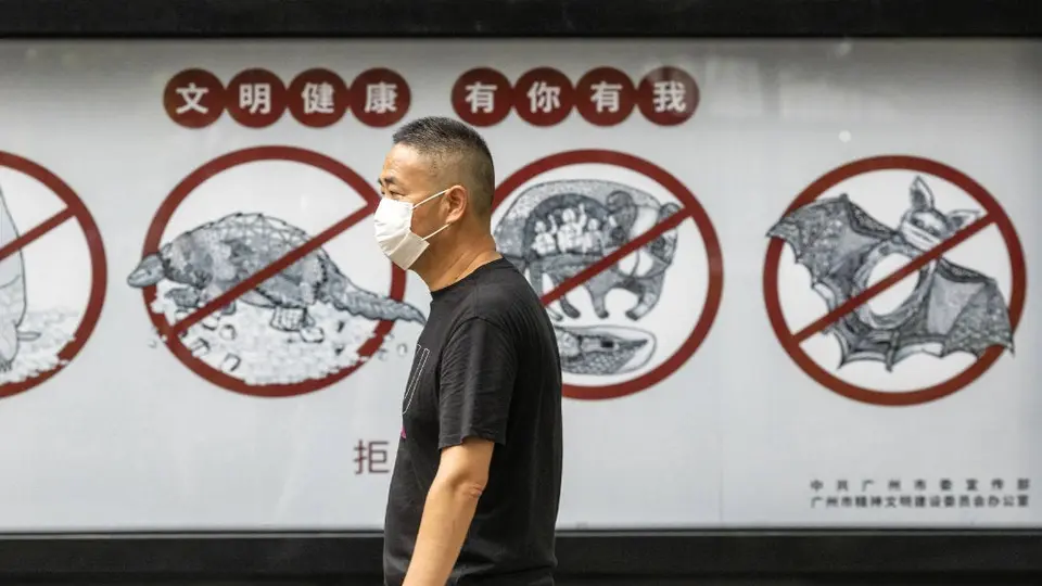 Coronavirus: Harvard piensa que el virus se propagó en China desde agosto