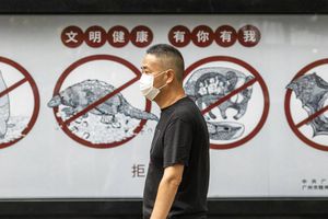 Coronavirus: Harvard piensa que el virus se propagó en China desde agosto