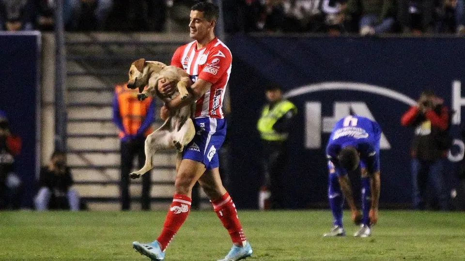 VIDEO: Atlético San Luis presentó a 'Tunita', perro que se coló vs Cruz Azul