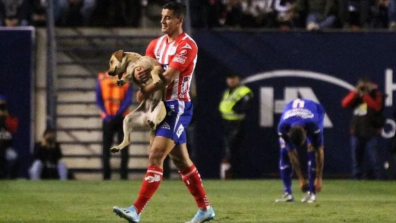 VIDEO: Atlético San Luis presentó a 'Tunita', perro que se coló vs Cruz Azul