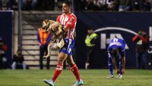 VIDEO: Atlético San Luis presentó a 'Tunita', perro que se coló vs Cruz Azul