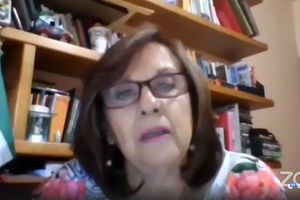 Senadora de Guanajuato se disculpa por mostrar de más en videoconferencia