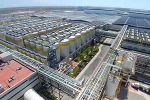 Senadora León califica como “patito” consulta sobre Cervecera en Mexicali