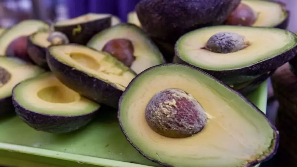 Michoacán rompió récord de exportación de aguacate para el Super Bowl LIV