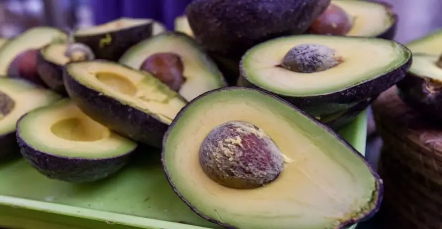 Michoacán rompió récord de exportación de aguacate para el Super Bowl LIV