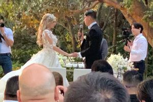 Alan Pulido e Ileana Salas se casaron en espectacular boda
