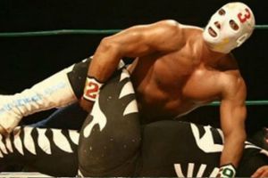 Coronavirus: Hasta 30 luchadores han fallecido durante la pandemia