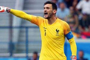 Hugo Lloris compró perro protector en 17 mil euros