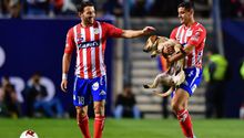 Atlético San Luis comenzó búsqueda de Tunita la perra