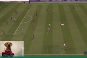 Tunita salió ‘jugando’ en el partido de Atlético San Luis vs Cruz Azul de la eLigaMX