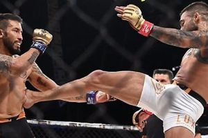 MMA: Lux Fight League montará primera función en México a puerta cerrada