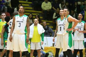 Aguacateros de Michoacán no participará en la LNBP