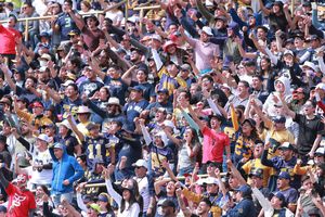Aficionados de Pumas CU golpearon a seguidores de Burros Blancos