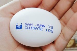 "Cuídate", el mensaje de Huevos San Juan al pueblo mexicano