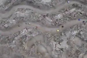 VIDEO: Carreras de canicas, el nuevo deporte a seguir ante la suspensión por coronavirus