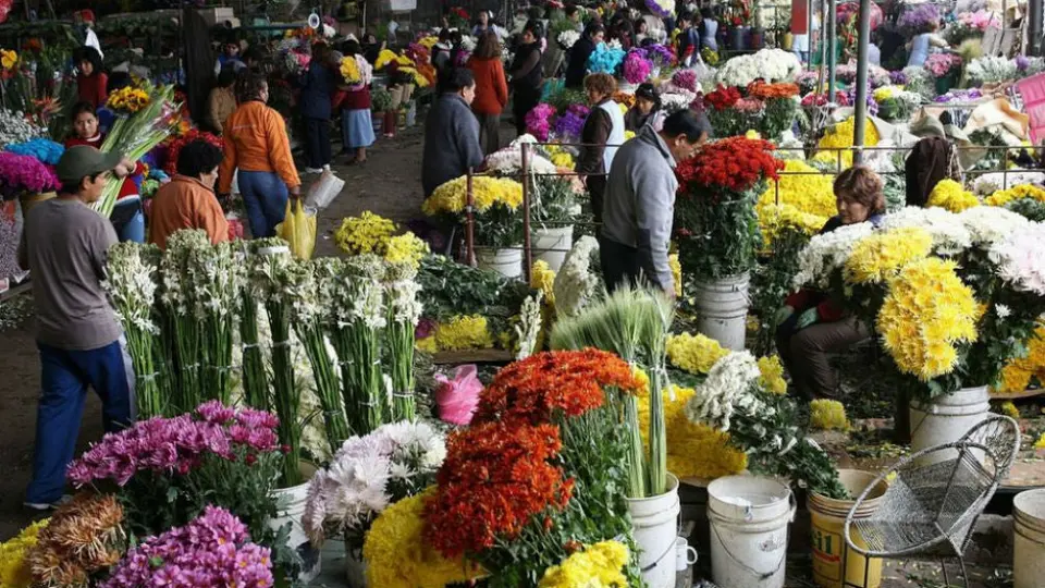 VIDEO: Incendio consumió 12 locales del Mercado de Flores de Xochimilco
