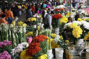 VIDEO: Incendio consumió 12 locales del Mercado de Flores de Xochimilco
