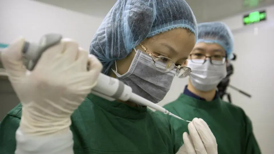 Coronavirus: Tras prueba en monos, China tuvo éxito en vacunas contra el COVID-19