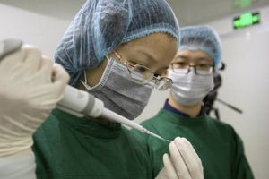 Coronavirus: Tras prueba en monos, China tuvo éxito en vacunas contra el COVID-19