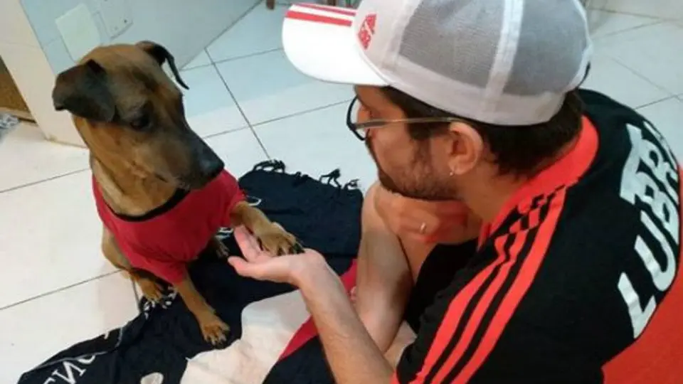 Fan rifa su boleto de Libertadores para ayudar a su perro enfermo de cáncer