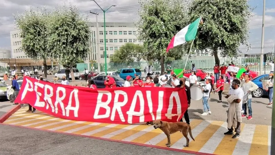 VIDEO: Perra Brava agradeció a doctores mexiquenses con cánticos y porras