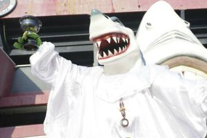 Tibu Jarocho busca trabajo en redes sociales tras desafiliación del Veracruz