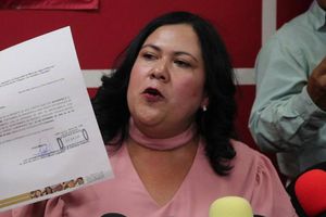 Senadora León acusa guerra sucia por toma de casetas
