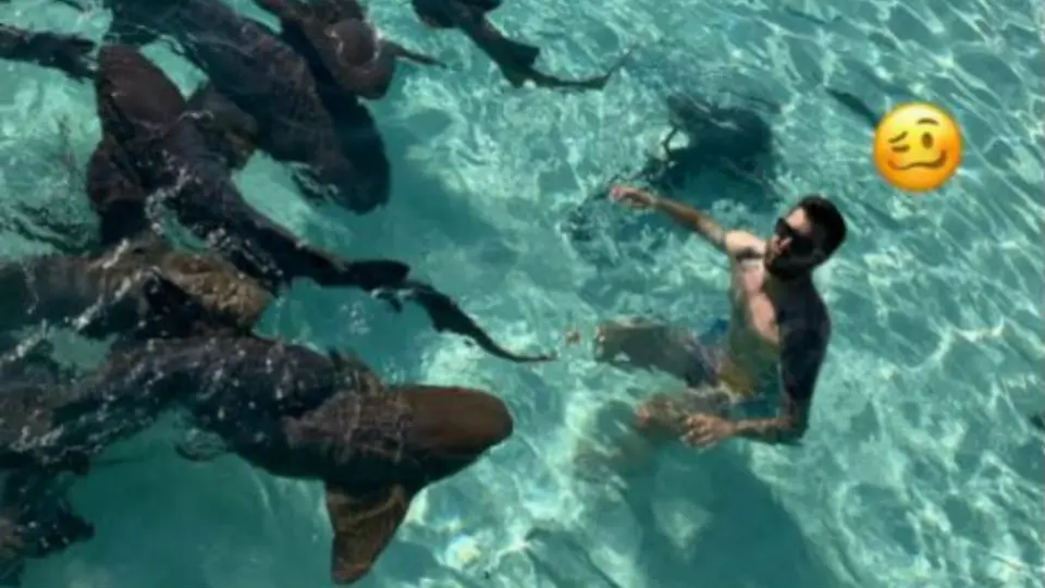 Gignac nadó con tiburones en vacaciones en las Bahamas