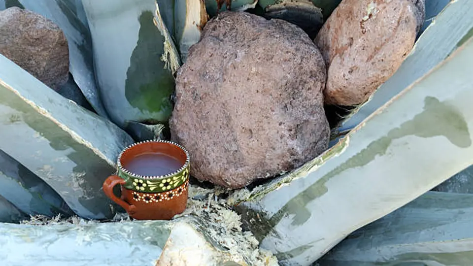 El decreto señala que el primer domingo de febrero de cada año se celebrará el Día del Pulque en la Ciudad de México. / iStock