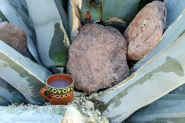 El decreto señala que el primer domingo de febrero de cada año se celebrará el Día del Pulque en la Ciudad de México. / iStock