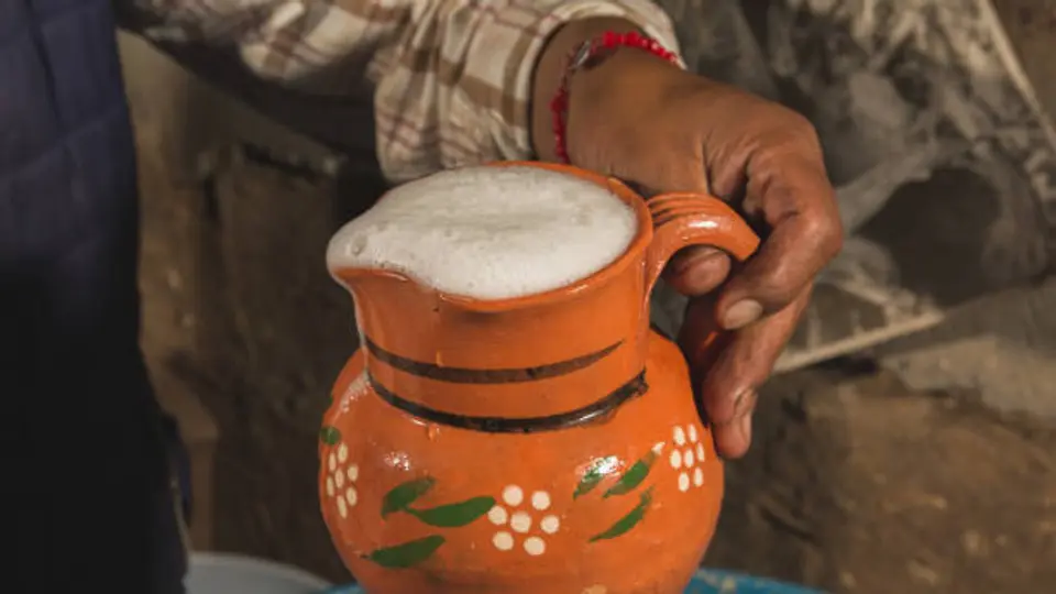 El Pulque también es llamado como "la bebida de los dioses". / iStock