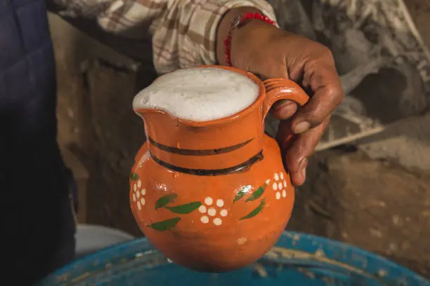 El Pulque también es llamado como "la bebida de los dioses". / iStock