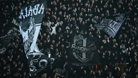 Tragedia: Mueren siete aficionados del PAOK en aparatoso accidente vial