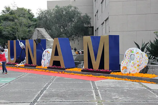 Los reconocimientos internacionales toman en cuenta la investigación, la calidad académica y la reputación de la UNAM./ Pixabay