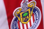Exjugador de las Chivas ficha con el Atlante