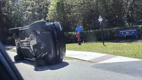 Tiger Woods sufre accidente automovilístico y es arrestado por sospecha de conducir en estado de ebriedad