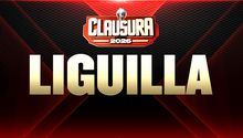 ¡Adiós al torneo regular! Así se jugará la Liguilla del Clausura 2026 en Liga MX