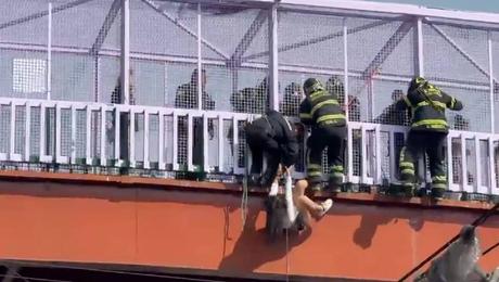 VIDEO: Mujer cae de puente peatonal en Zaragoza a vías del Metro CDMX