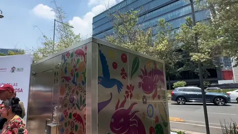 Los ajolotes no podrían faltar en el diseño de los baños públicos / Especial