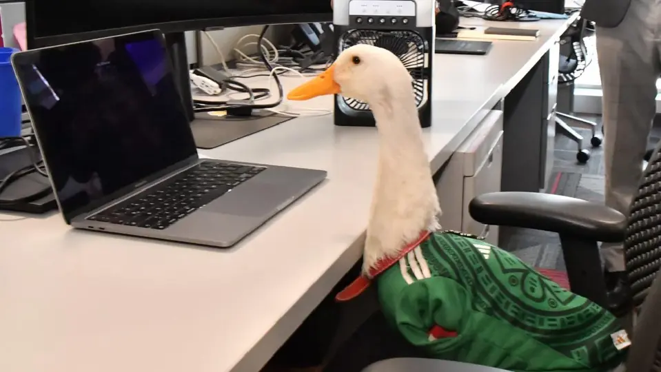 El Pato Merlín se convirtió en la mascota no oficial del Mundial en México / FB: @impi.mexico