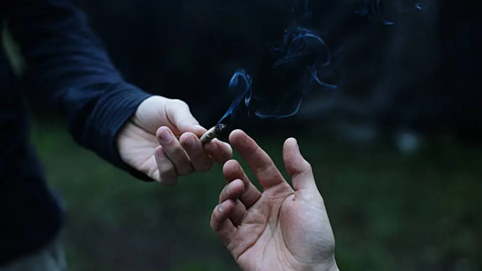 El cannabis continúa siendo la sustancia ilícita más consumida a nivel mundial. / iStock