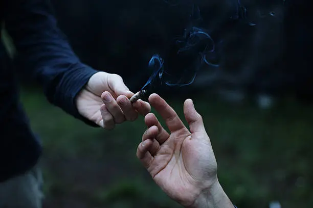 El cannabis continúa siendo la sustancia ilícita más consumida a nivel mundial. / iStock