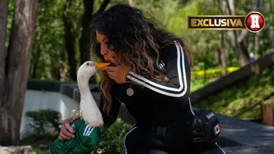 "¿Qué culpa tiene mi bebé?": dueña del Pato Merlín acusa de politización en su caso